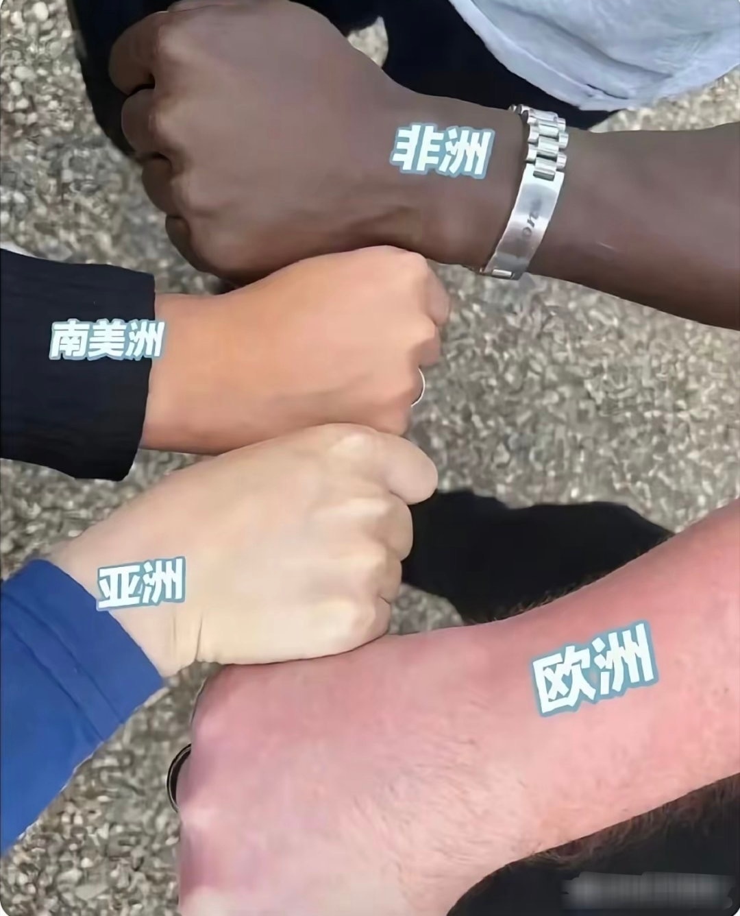 从肤色来说，中国人才是真正的白人。 