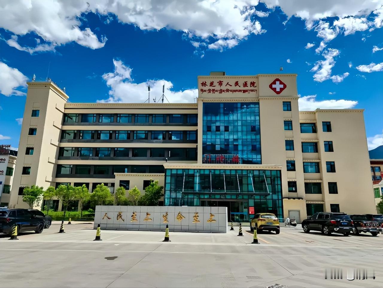 西藏林芝市人民医院正式官宣，自2026年2月15日起，全面取消门诊、急诊所有挂号