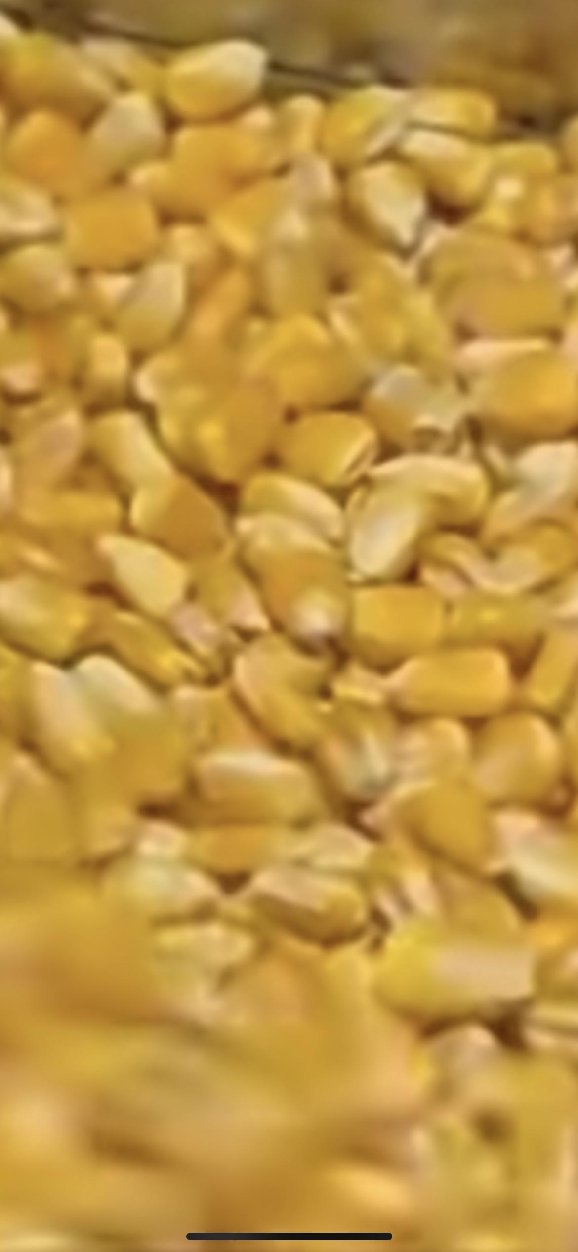 10月20日，烤肉店用玉米做燃料引争议，顾客心疼粮食，直呼浪费，店家：部分从周边