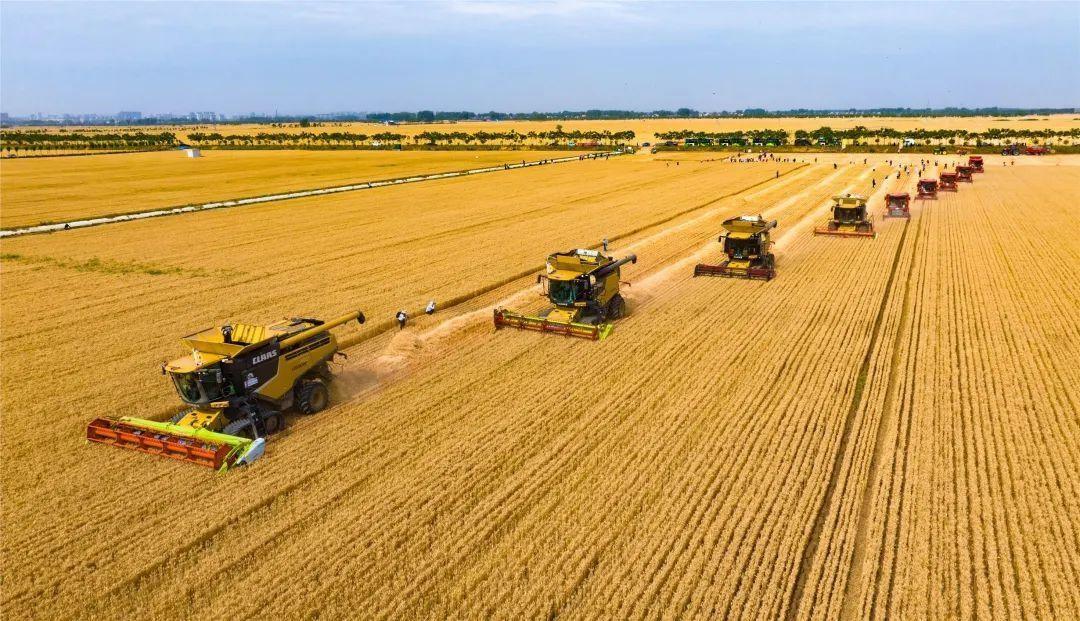 美国耕地面积比中国大，可为什么粮食产量不及中国？

很多人都纳闷，美国耕地比我们