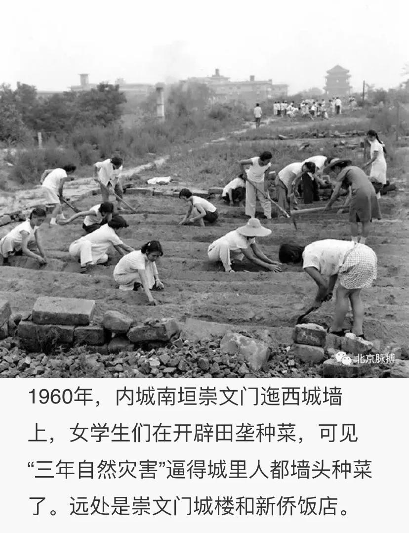 北京城墙拆除之前市民在城墙上种菜，土从哪来？北京城墙不是夯土筑的吧，一担担挑上去