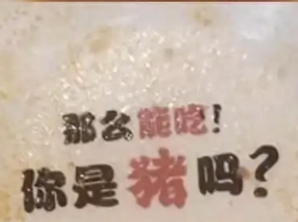 游客在景区吃了一碗面，吃完后发现碗底上写着“那么能吃！你是猪吗？”，她认为这是嘲