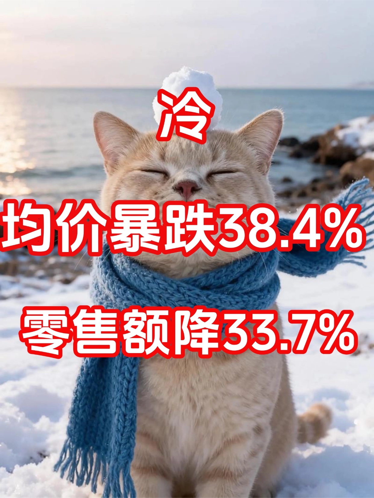 冷！均价暴跌38.4%，零售额同比骤降33.7%！2026年5月宠物烘干箱线上市