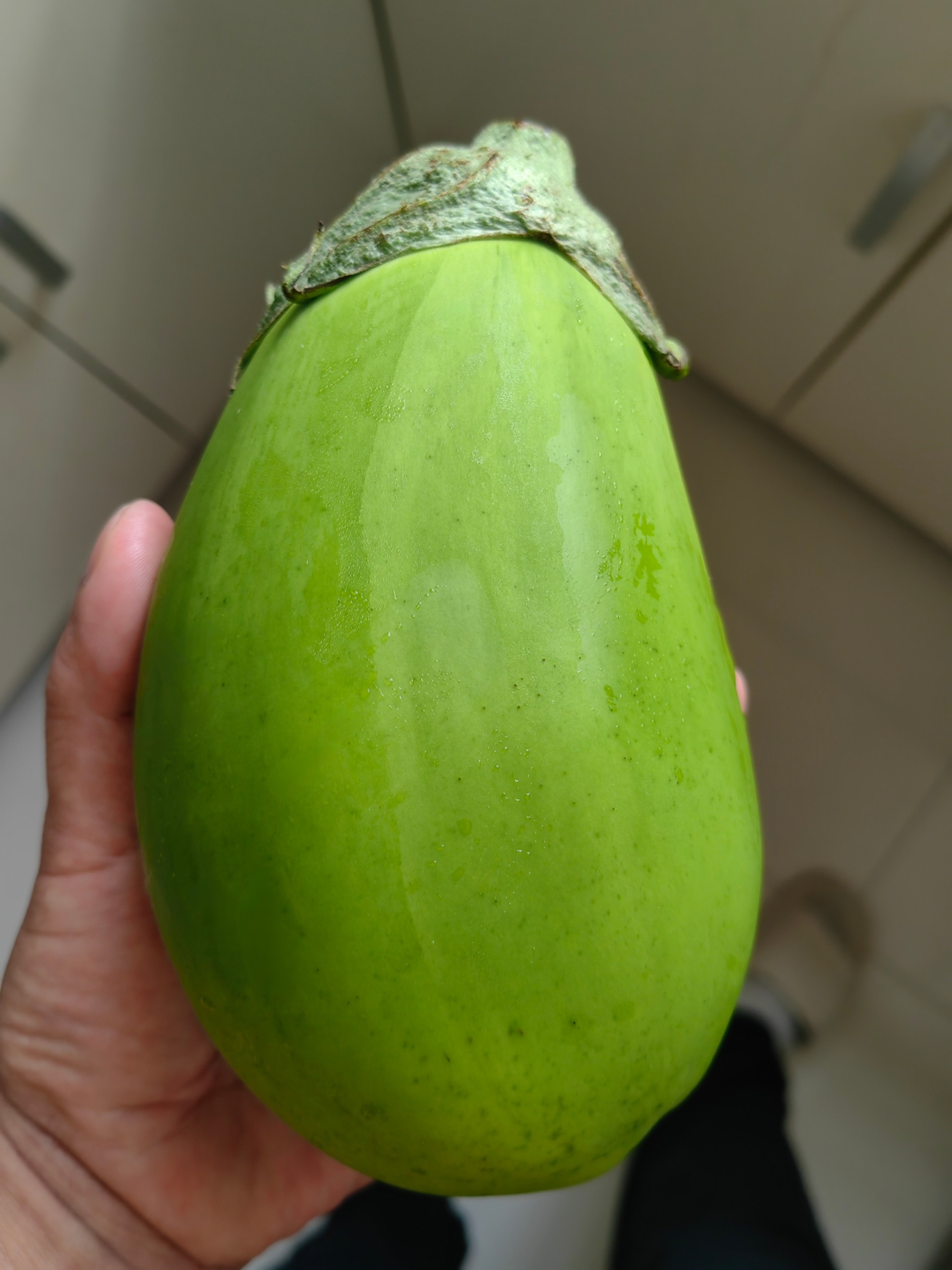 大青茄子。问早市卖菜的大爷，这种茄子是不是很嫩，老了就会变成紫色。结果大爷说，就