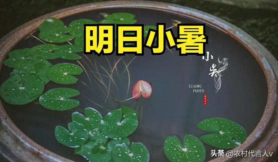 不是迷信！明日小暑，最不能做的5件事，不忘告诉家人
 
明天小暑，暑气像被点燃的