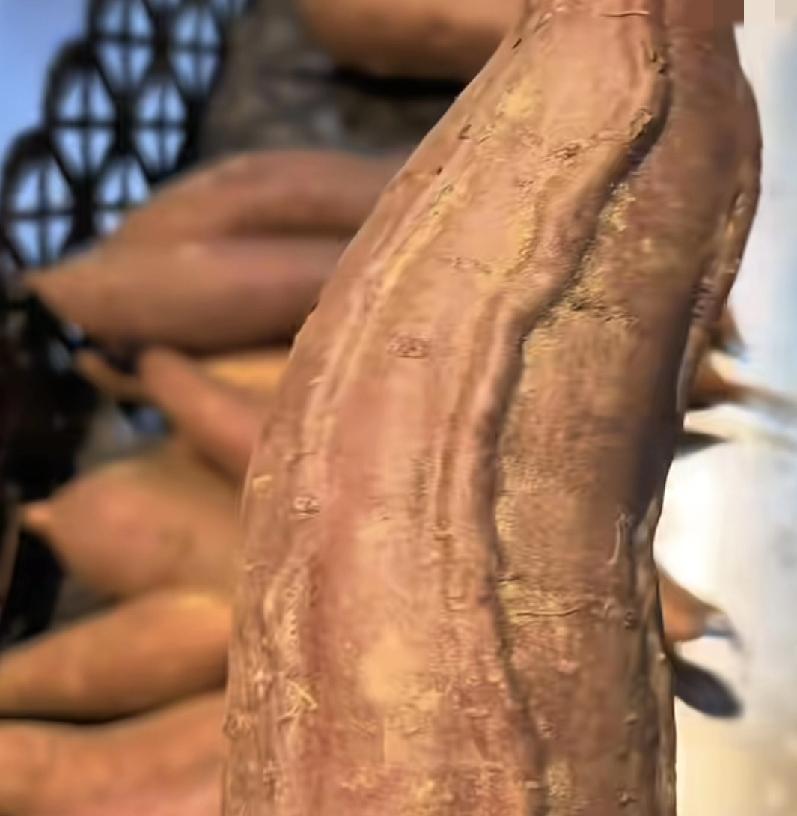 成都61岁大爷把17cm红薯塞肛门！开腹才取出，医生直呼离谱
 
凌晨四点的急诊