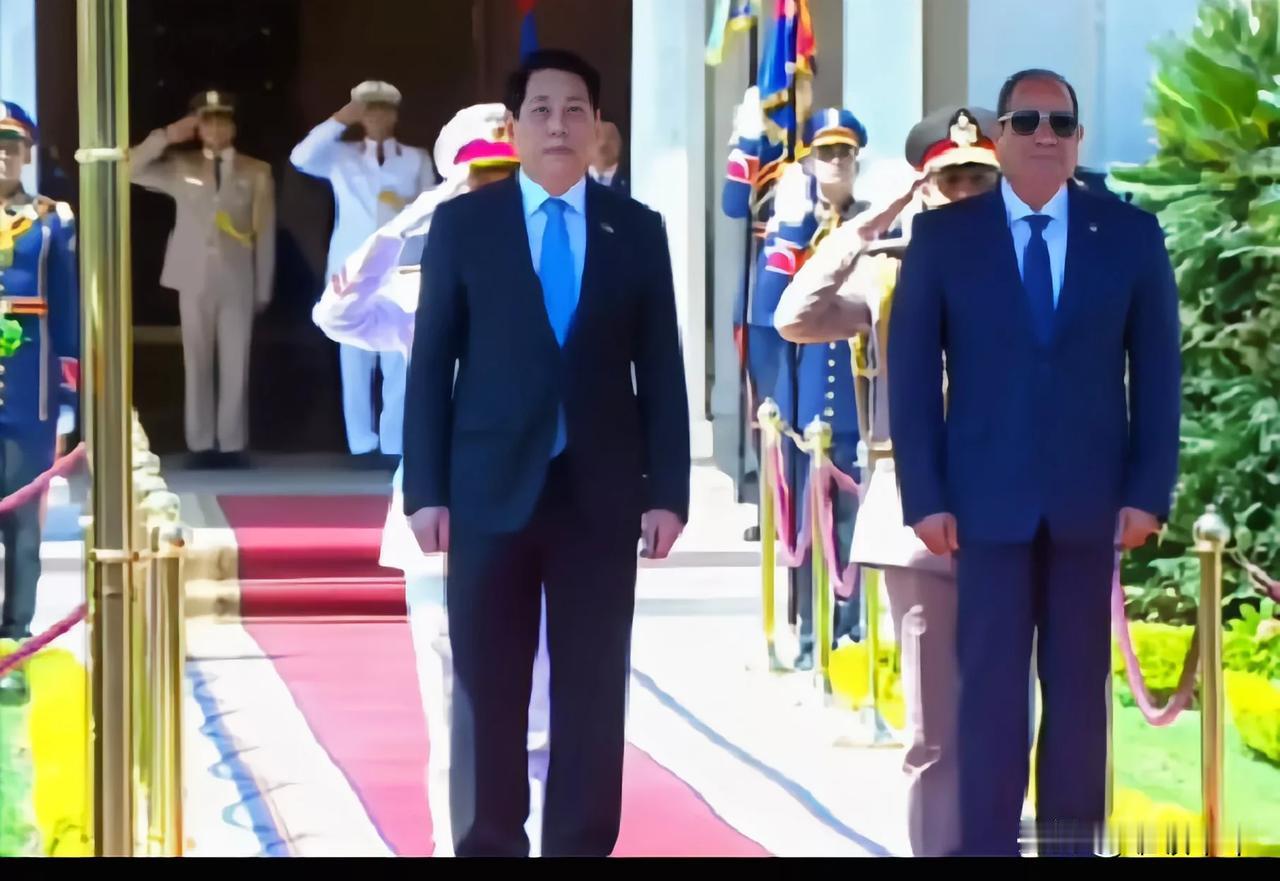 出访他国，机会均等，是“越南四驾马车”外交任务分配的特色，别国领袖出访的任务主要