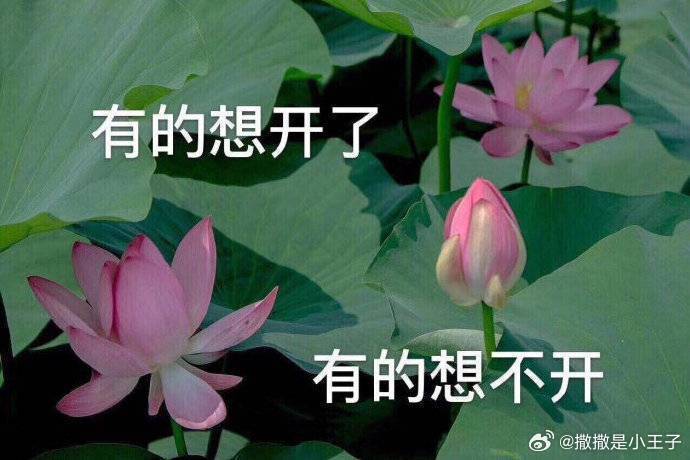 2026了，各家营销费都缩减，扣扣搜搜的，但人家营销费4倍你，输了就输了吧。 