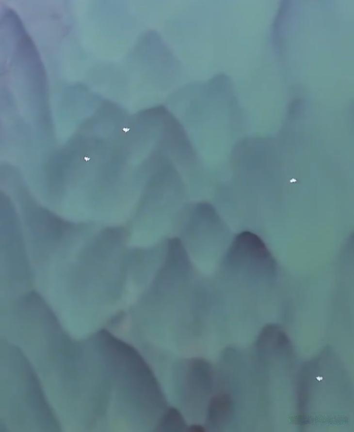 安徽池州的长江滩涂也太美了！高空俯瞰之下，碧绿的江水像翡翠般澄澈，蜿蜒的滩涂勾勒