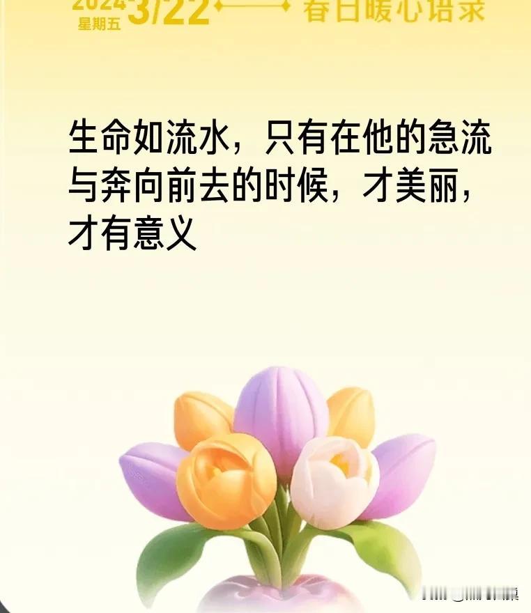 早晨起来，阳光明媚，新的一天，新的开始，舒展身体，放松心情。为快乐的一日加油[赞