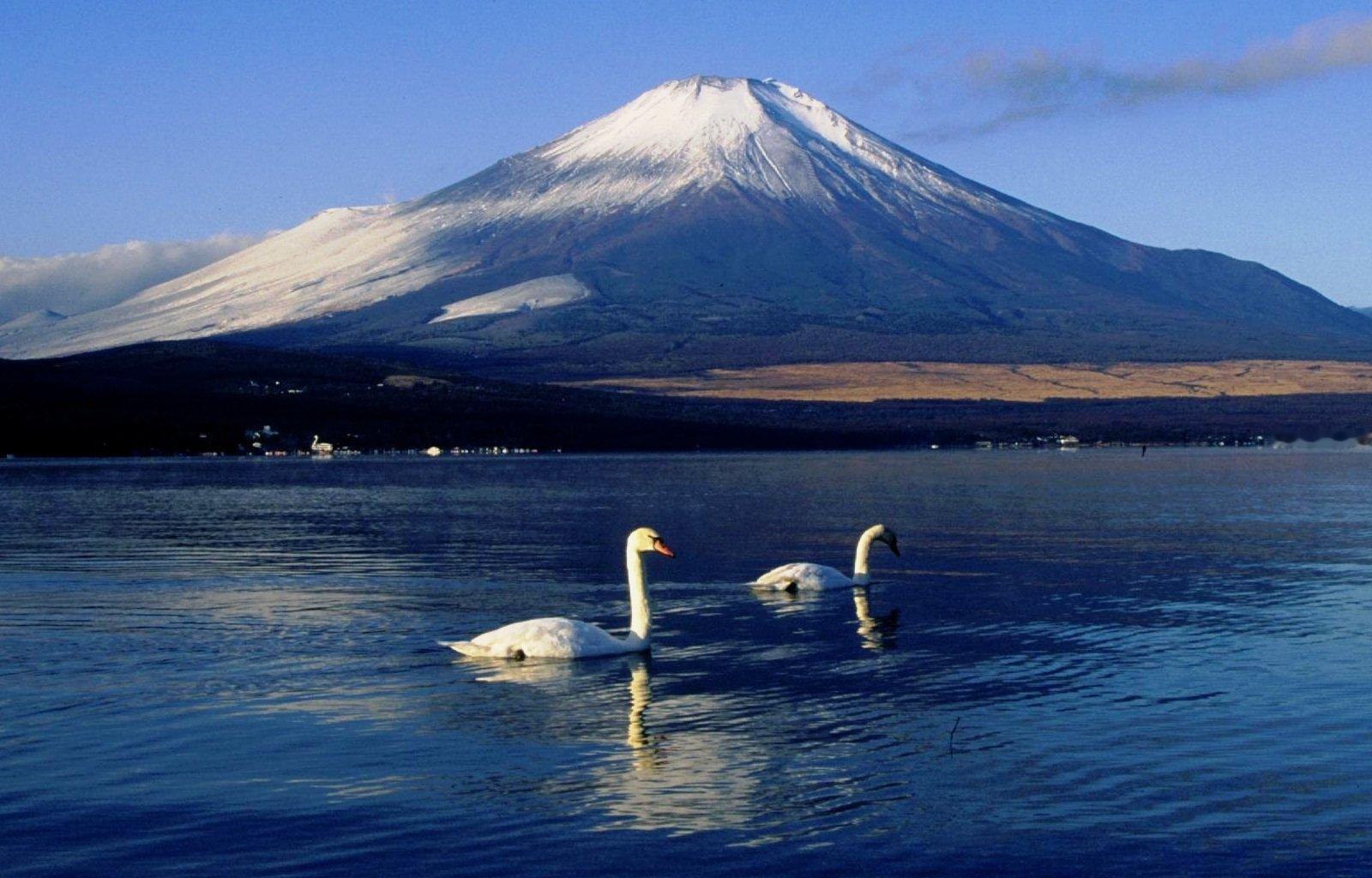 1994年，富士山 ​​​