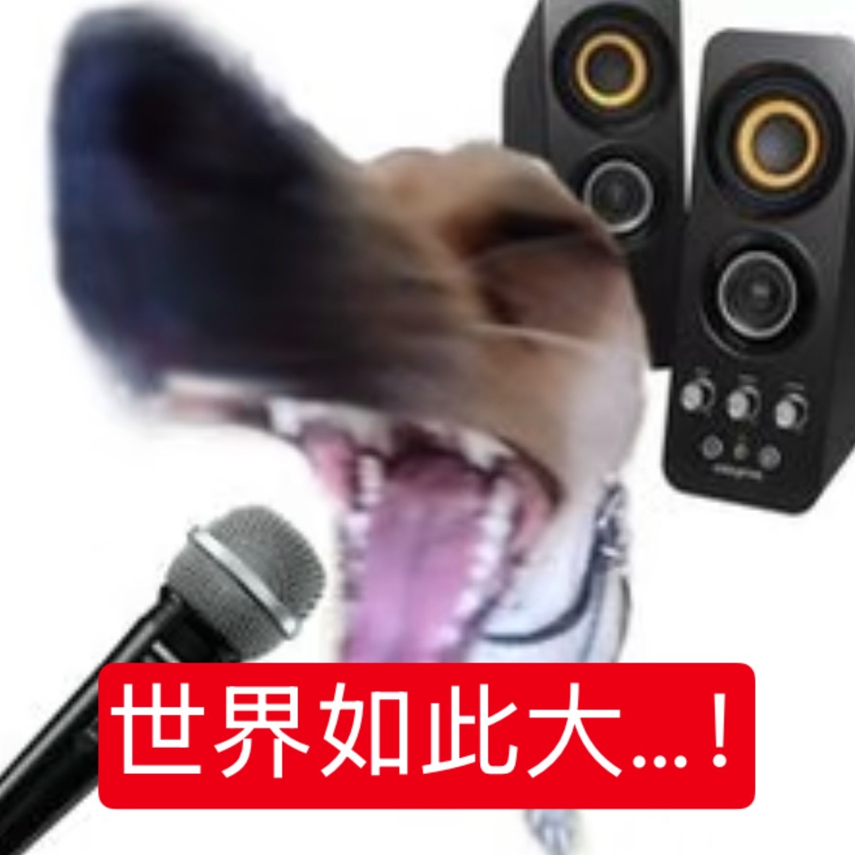 本人已经大了一天了 ​​​