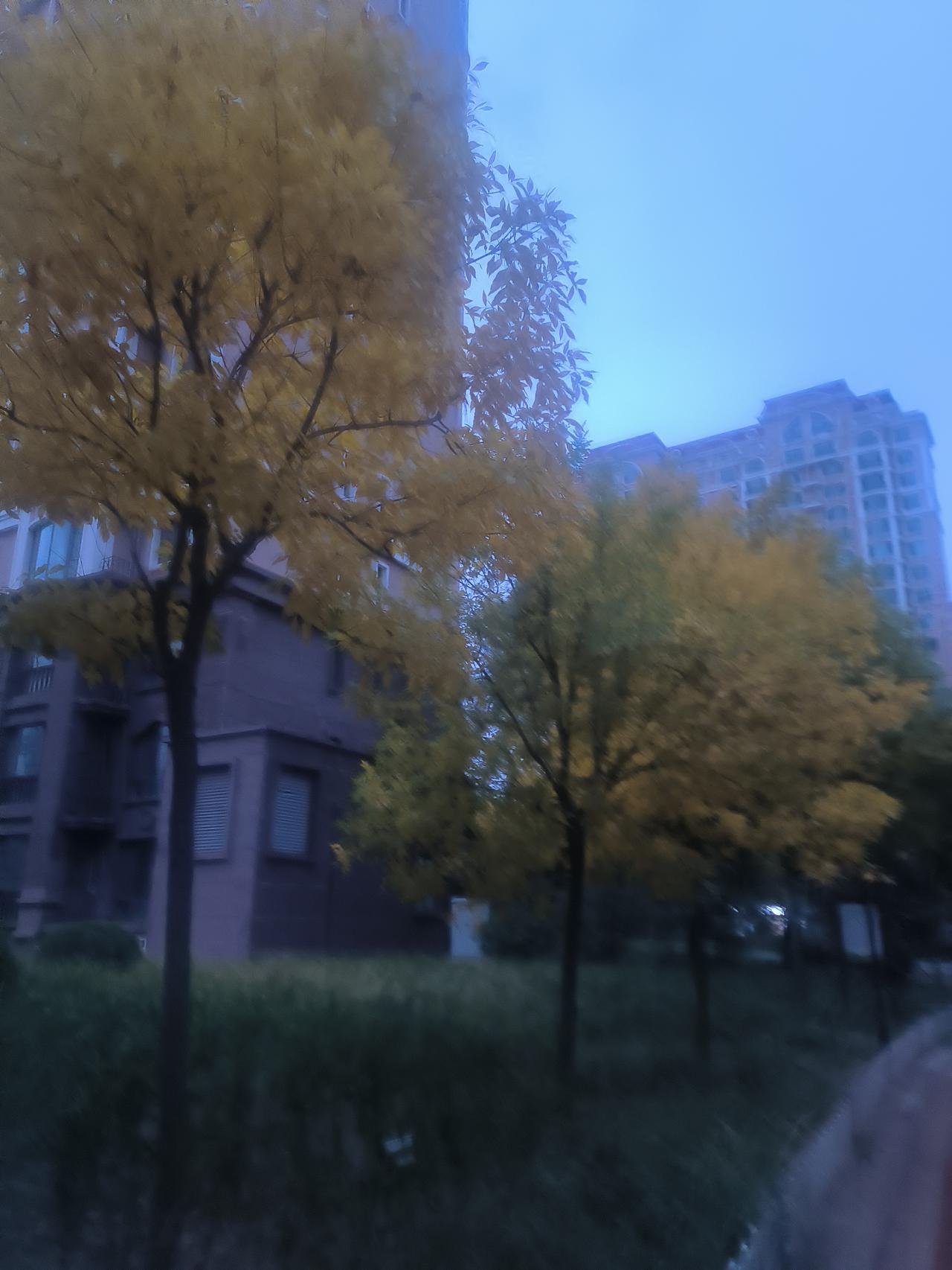 今天中秋节，天气预报显示鄂尔多斯市阴天，全天不见太阳。谚语云：八月十五阴一阴，正