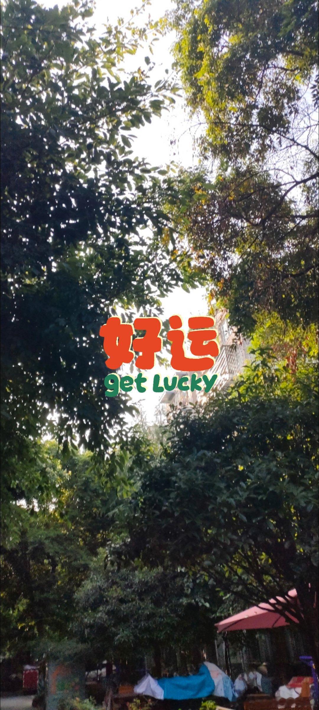 早上好啊，需回访的请扣1。 ​​​