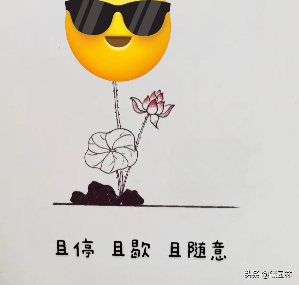 想抢地是三观不正
想偷人是五官不正
川普的“雷人”理念！
⊙格陵兰岛只有和平移交