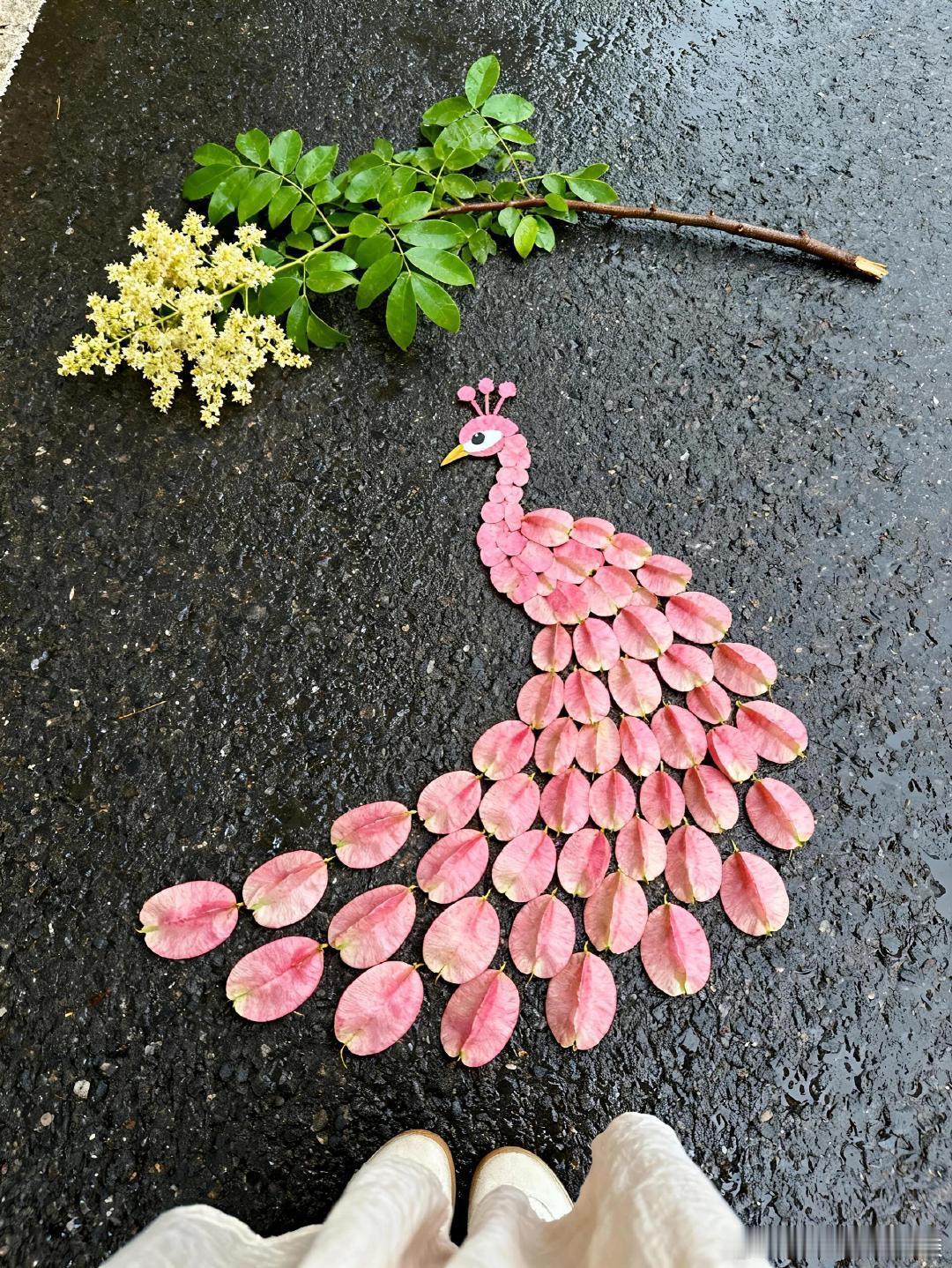 栾树果：秋酿的小灯笼 