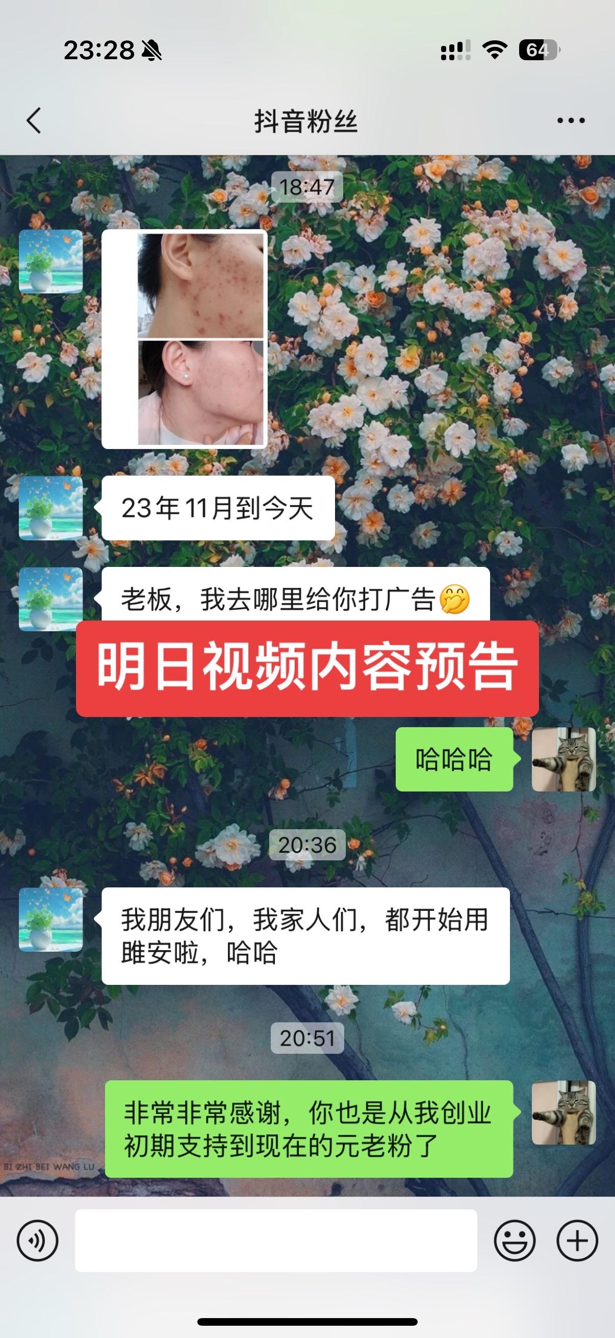 明日视频内容预告。
