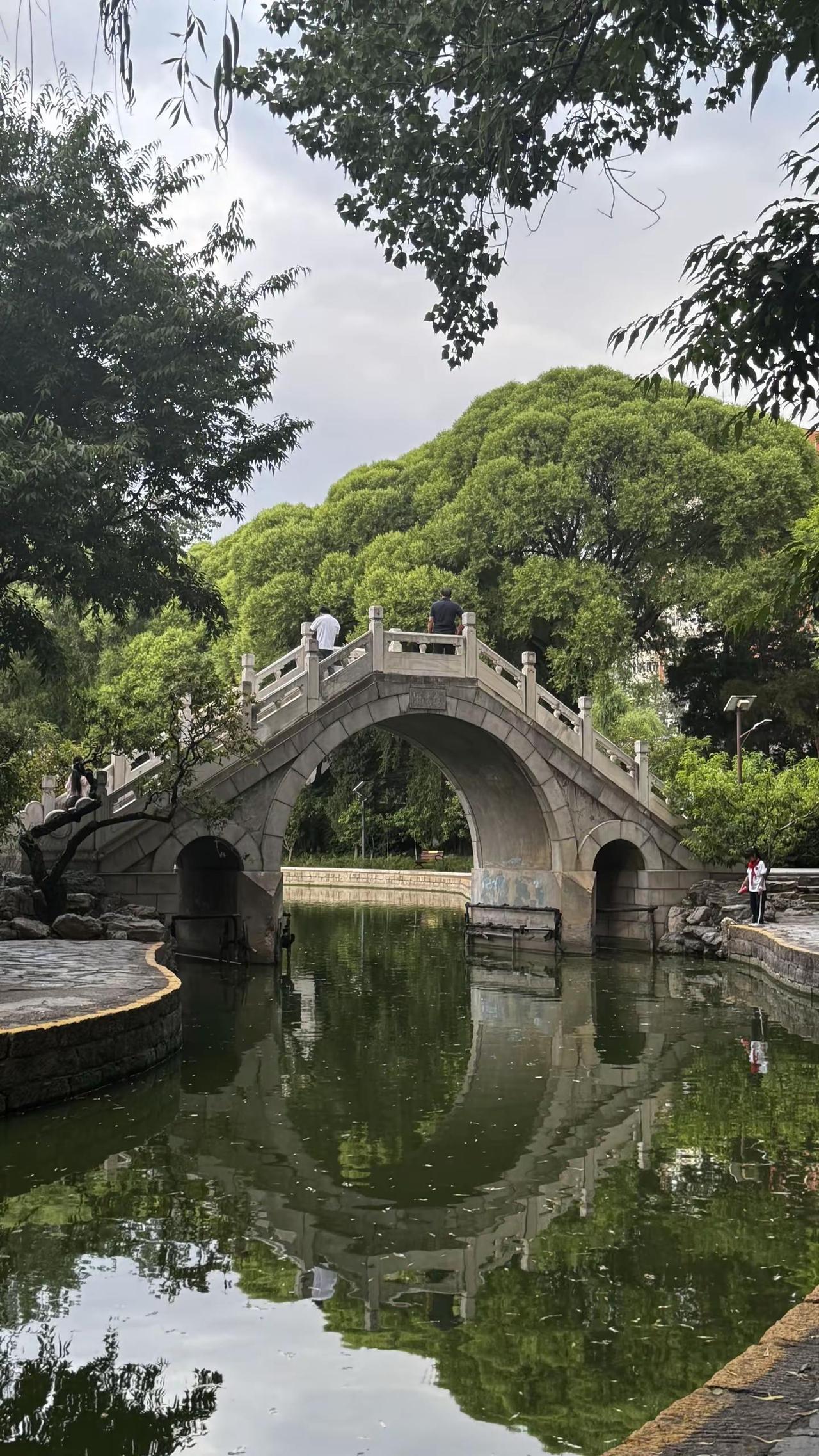 天气阴晴不定 好像又要下雨失眠的后果就是打了一天哈欠🥱湖边垂柳美景 发现城市之