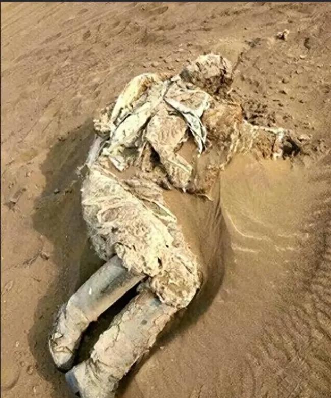 1958年夏天，四川巴中村民李中华突然离家，从此消失的无影无踪，去田里干活的妻子