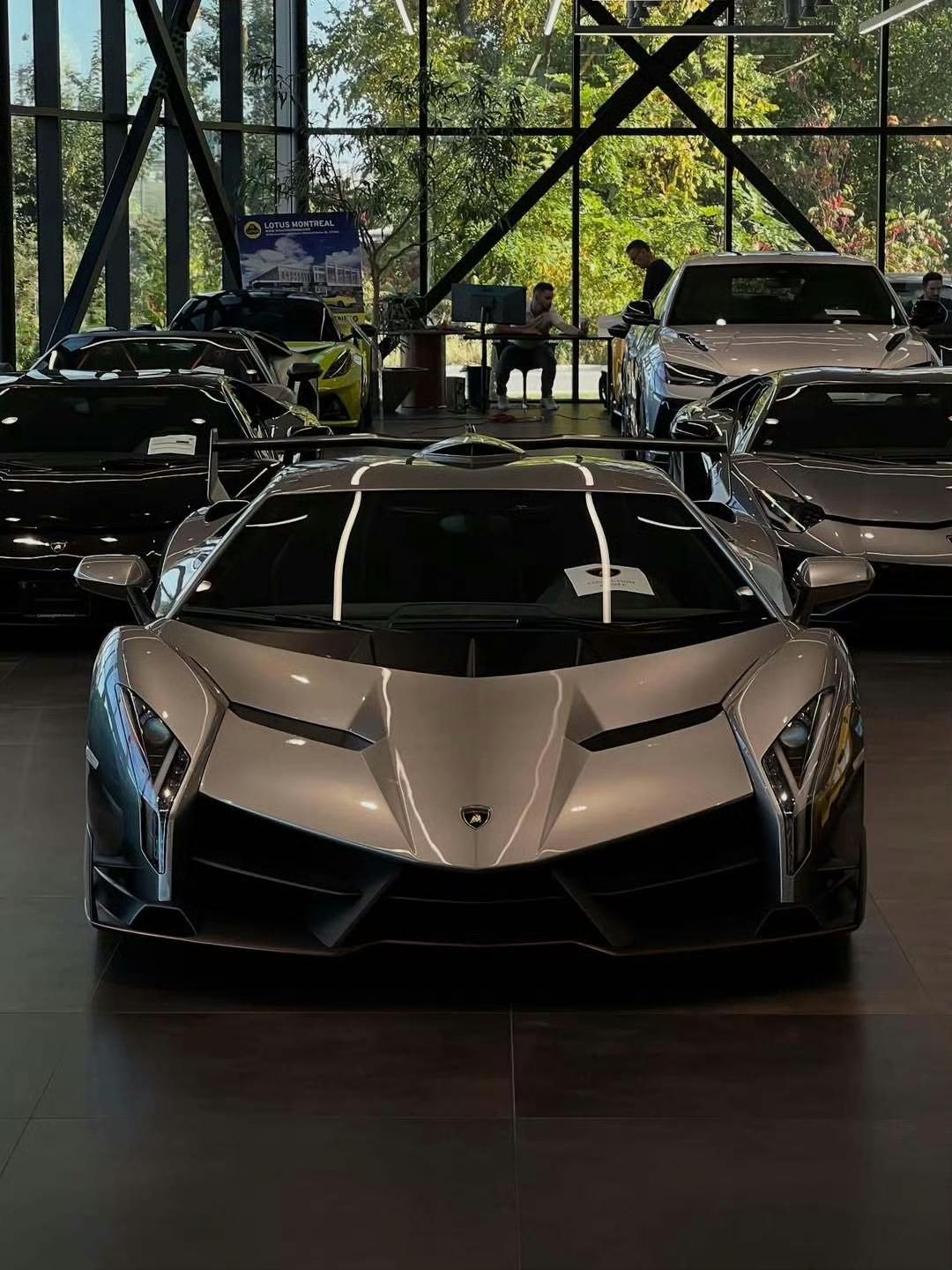 Lamborghini Veneno

via：am.cars ​​​