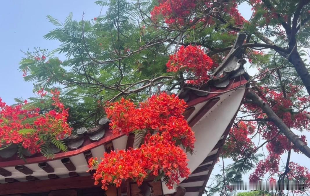 [锦鲤到来]我删除了关于我们生活过的痕迹

我整理了相册里面的视频和照片，还有很
