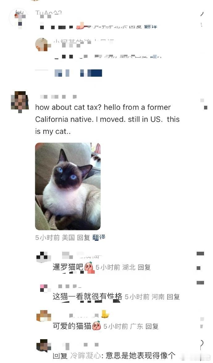 库里也来交熊猫税了  萌神库里和软萌熊猫的组合简直是王炸，上次中国行的相伴时光让