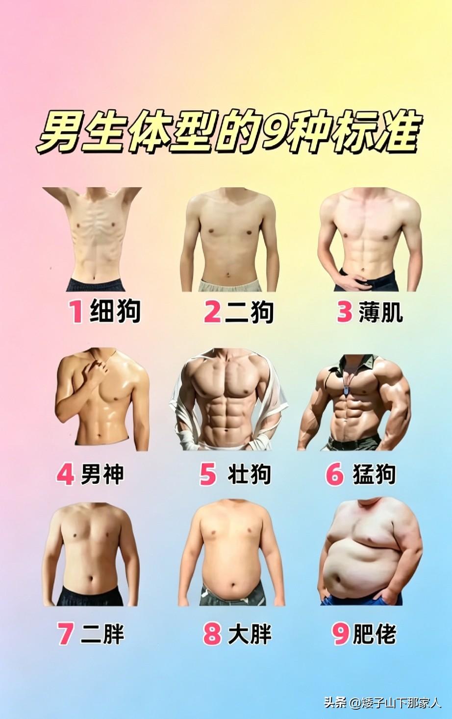 你除了知道细狗，还知道什么狗？