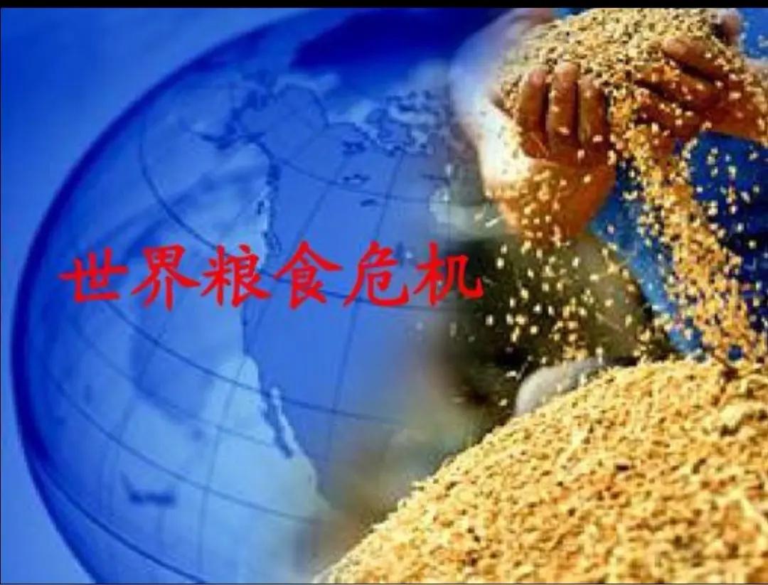 全球粮食危机来袭，西方反倒指责我国囤粮，双标本质藏不住
 
霍尔木兹海峡短暂开放