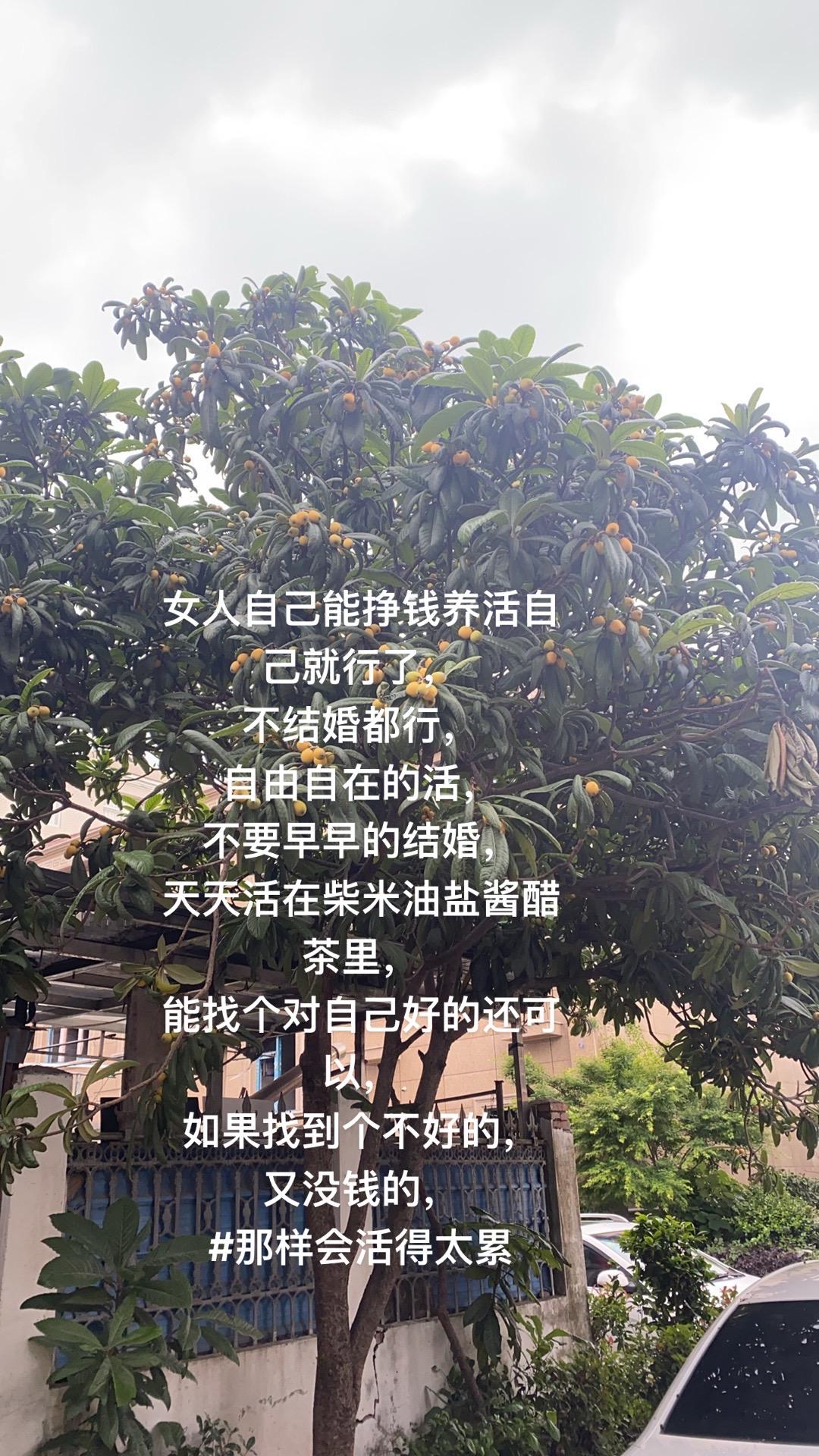 是不是实话，还是想看假话，哈哈哈哈