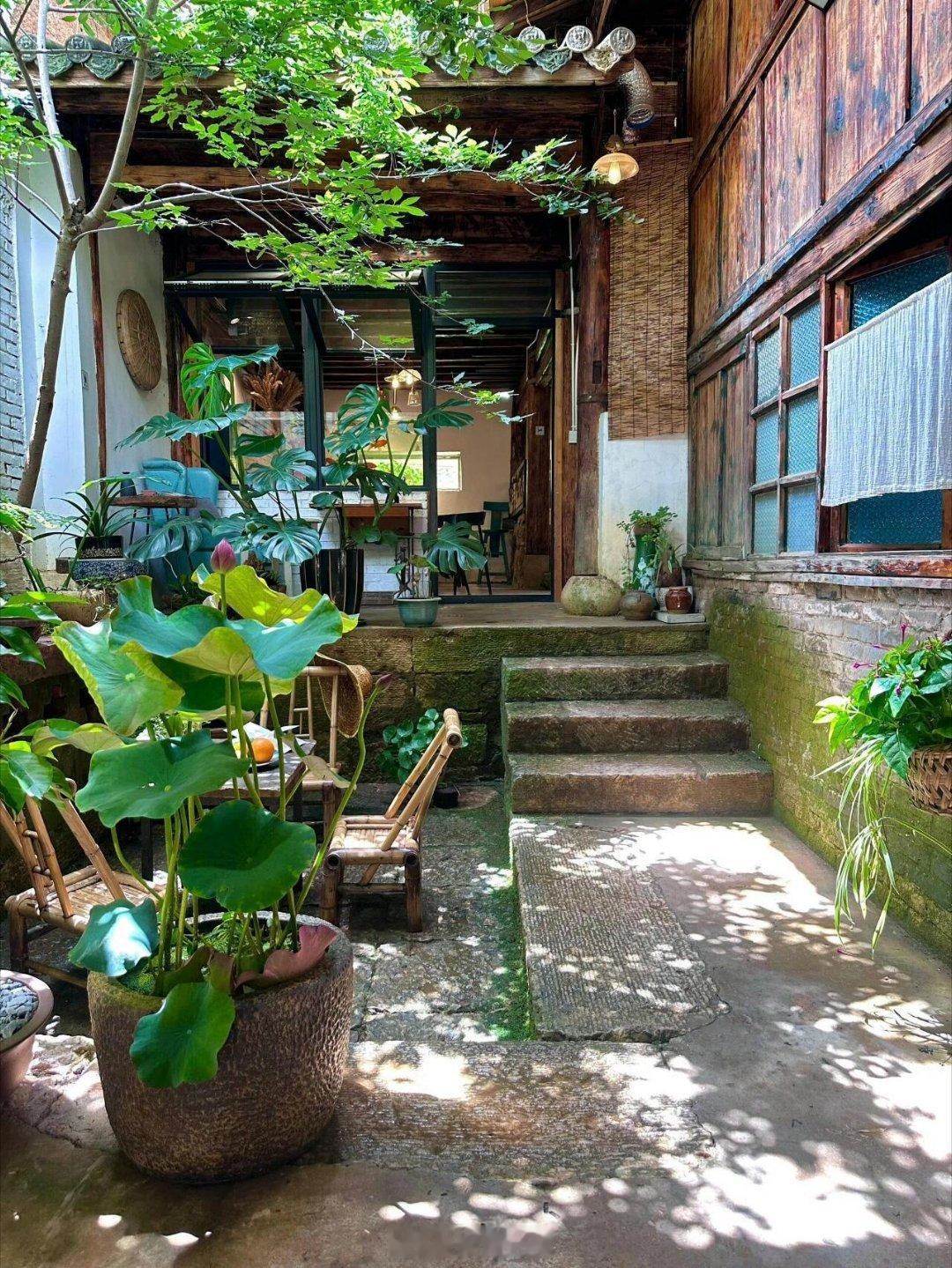 盛夏小院，荷香四溢 …#遇见艺术# ​​​