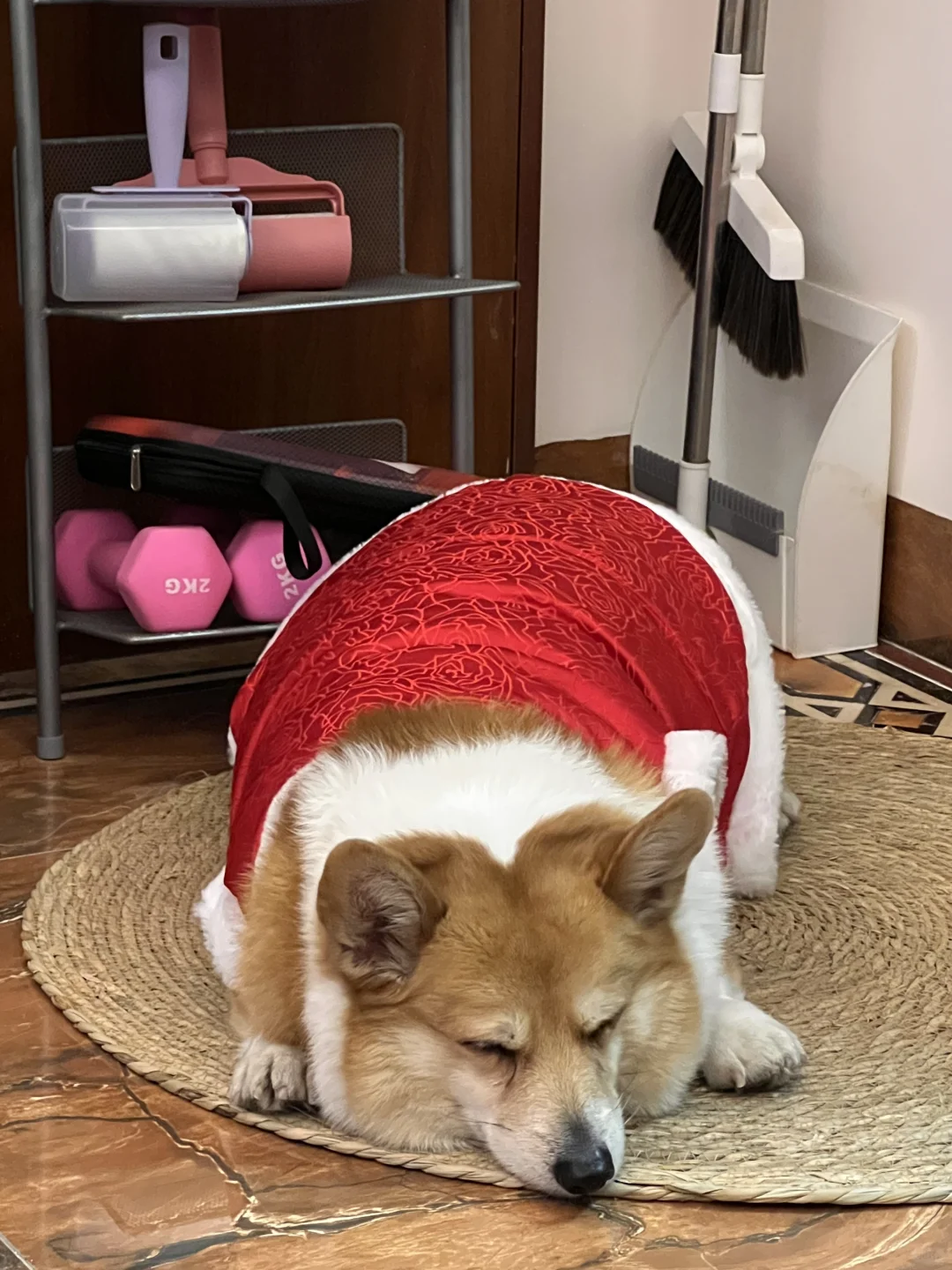 太肥了，买不到合适的衣服