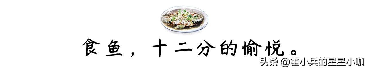 这41国居然呼吁相关国家承诺向受影响国家提前24小时通报洲际弹道导弹（ICBM）
