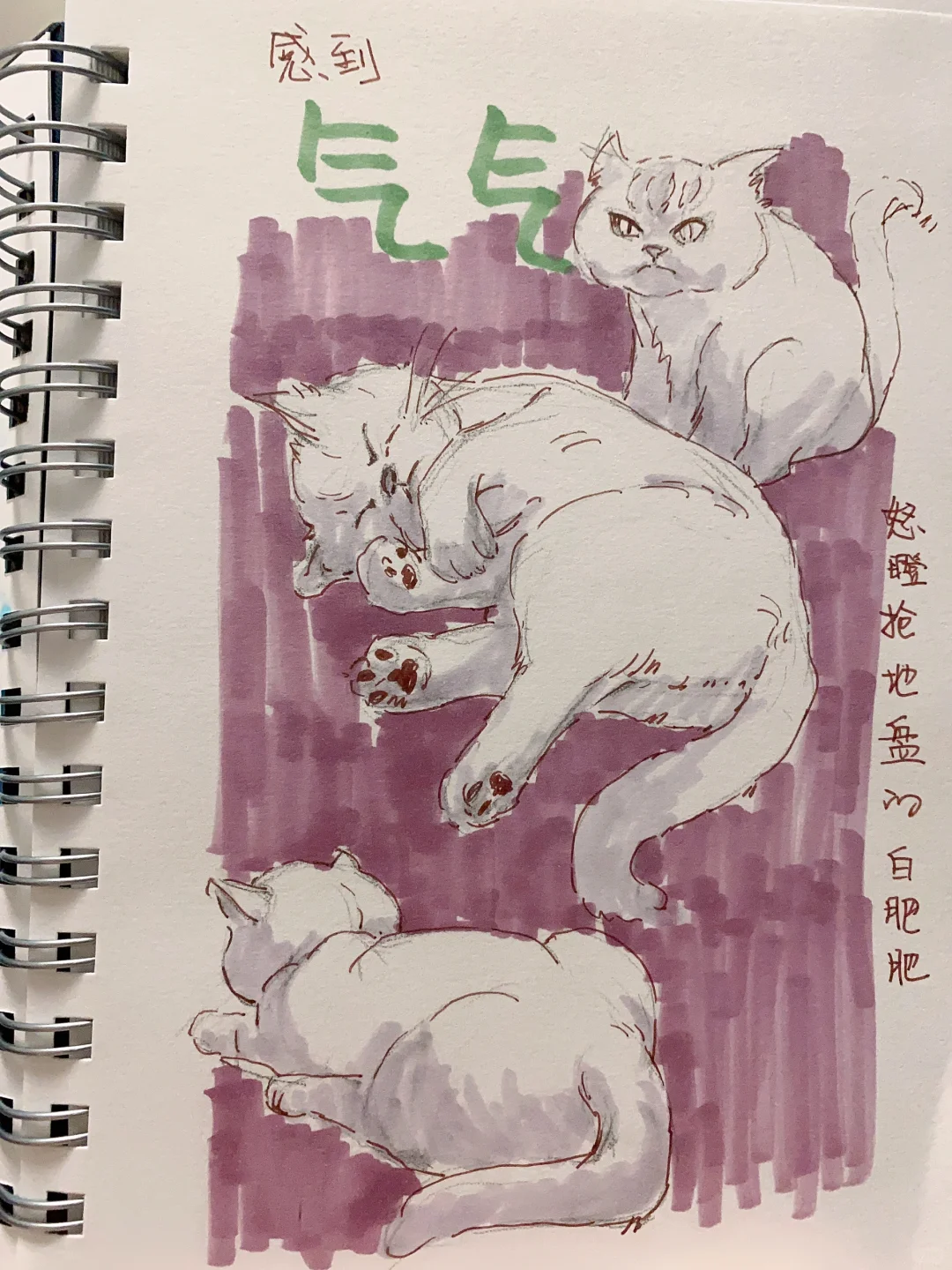 速写 今天涂猫