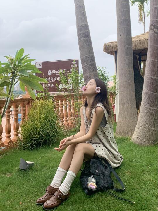 在西双版纳闯入一片椰林🌴