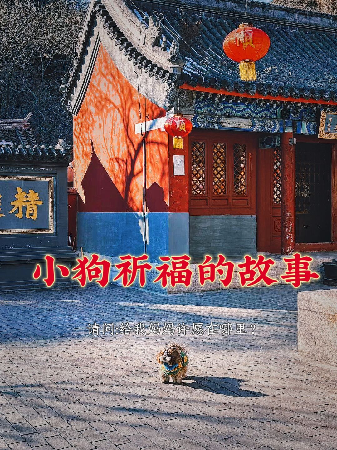 当我们带小狗们去祈福