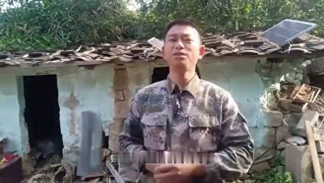 养蜂技术分享！蜂群没有王也采花，也会做蜂蜜！
