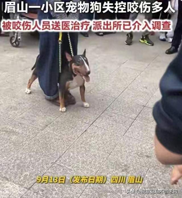 眉山仁寿小区犬只失控连咬多人，女童面部受伤，主人已被警方刑拘