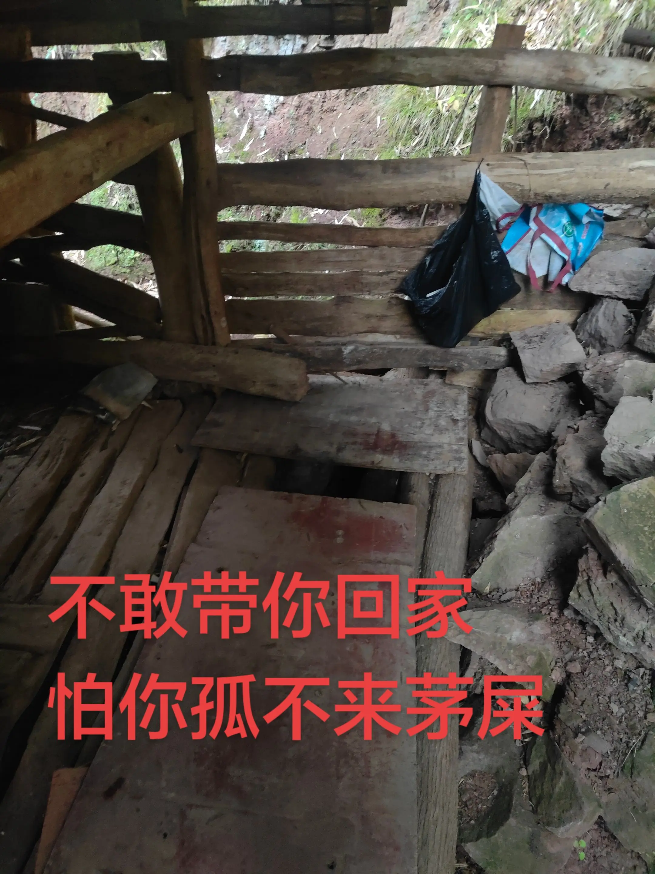 不敢耍朋友，怕你孤不来茅屎掉进去了