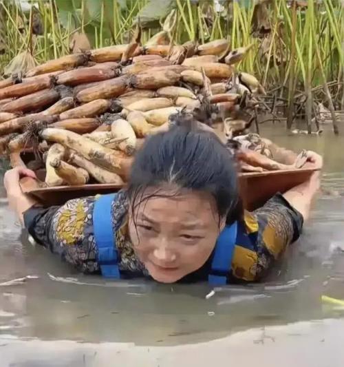 网红摆拍造假该管管了！剧本演公益、博流量，看着真闹心

真的看不下去了，现在有些