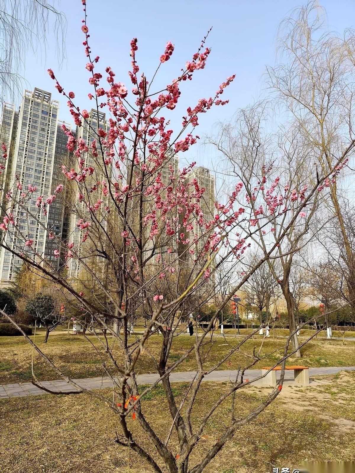 退休金2000多块。
我宁可天天在家啃萝卜，也不想再出去伺候任何一个老板了。
前