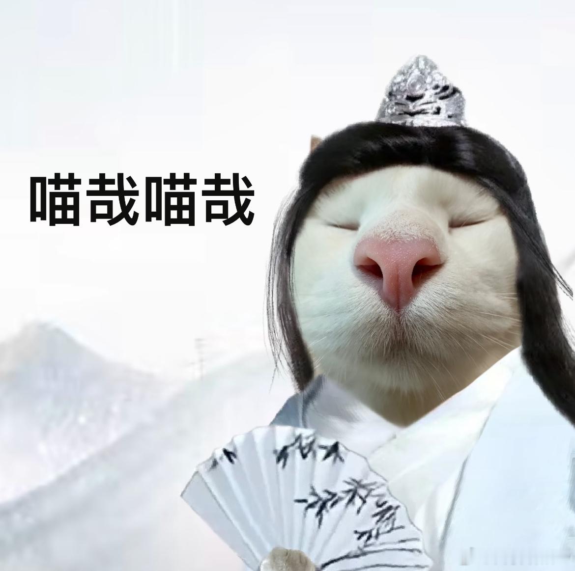 第一次听这么虐的文 听的时候眼泪哗哗往下掉，不是矫情，是故事写得足够真实，很容易