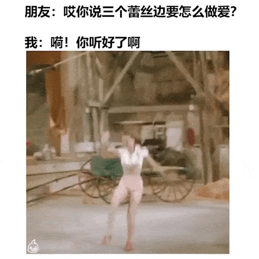 狗鼠龟🐶🐭🐢 
