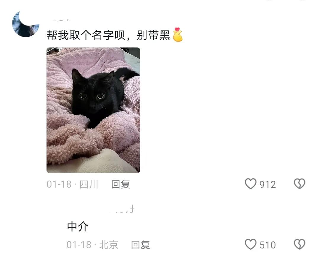 2025.1.25
最美的比喻就是拟人化，让所有都听得懂，却又不好意思反驳。这比