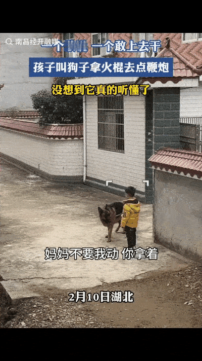 “万万没想到！”湖北，妈妈和男孩为欢迎爸爸回家点鞭炮，还没点着爸爸回来了，妈妈便