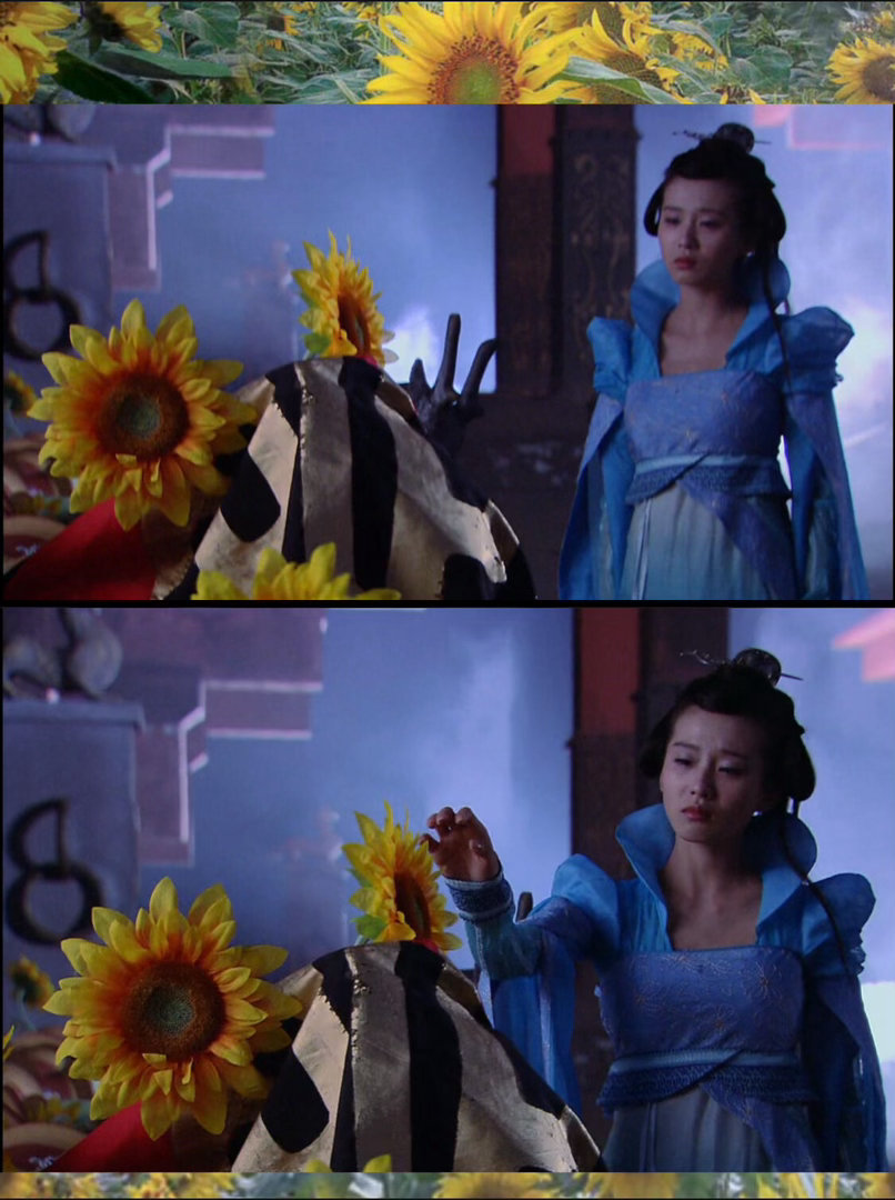 龙葵长尾效应 从17年前到现在，龙葵就这样一直硬控我。无论刷到多少次，都会停下来