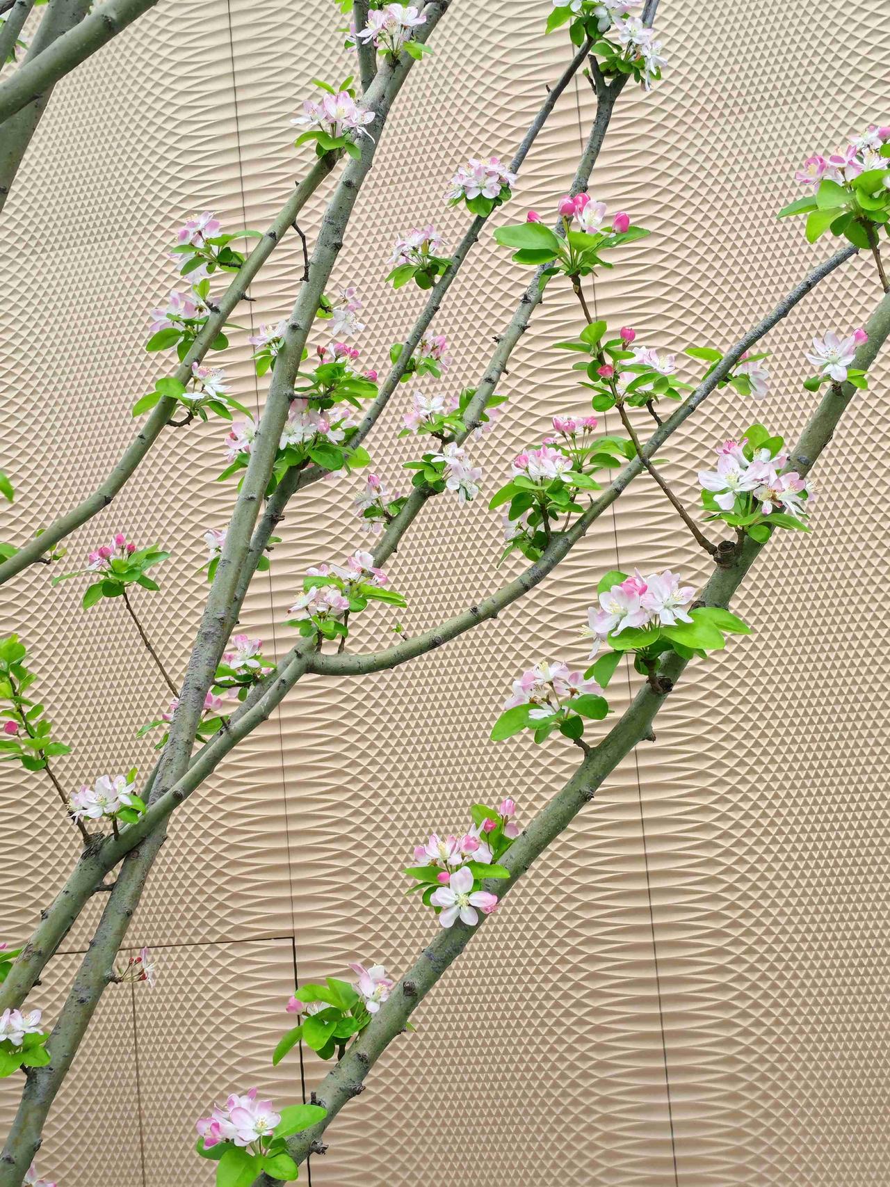 我的今日状态：😁轻松愉快
我这里的天气：🌧下雨