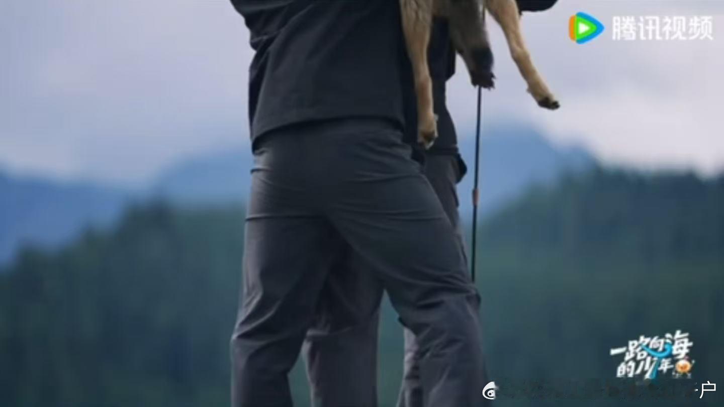 朱志鑫张极扛着狗老板走秀朱志鑫屁股好翘户外综艺的魅力就在于这种即兴的小活动，草原