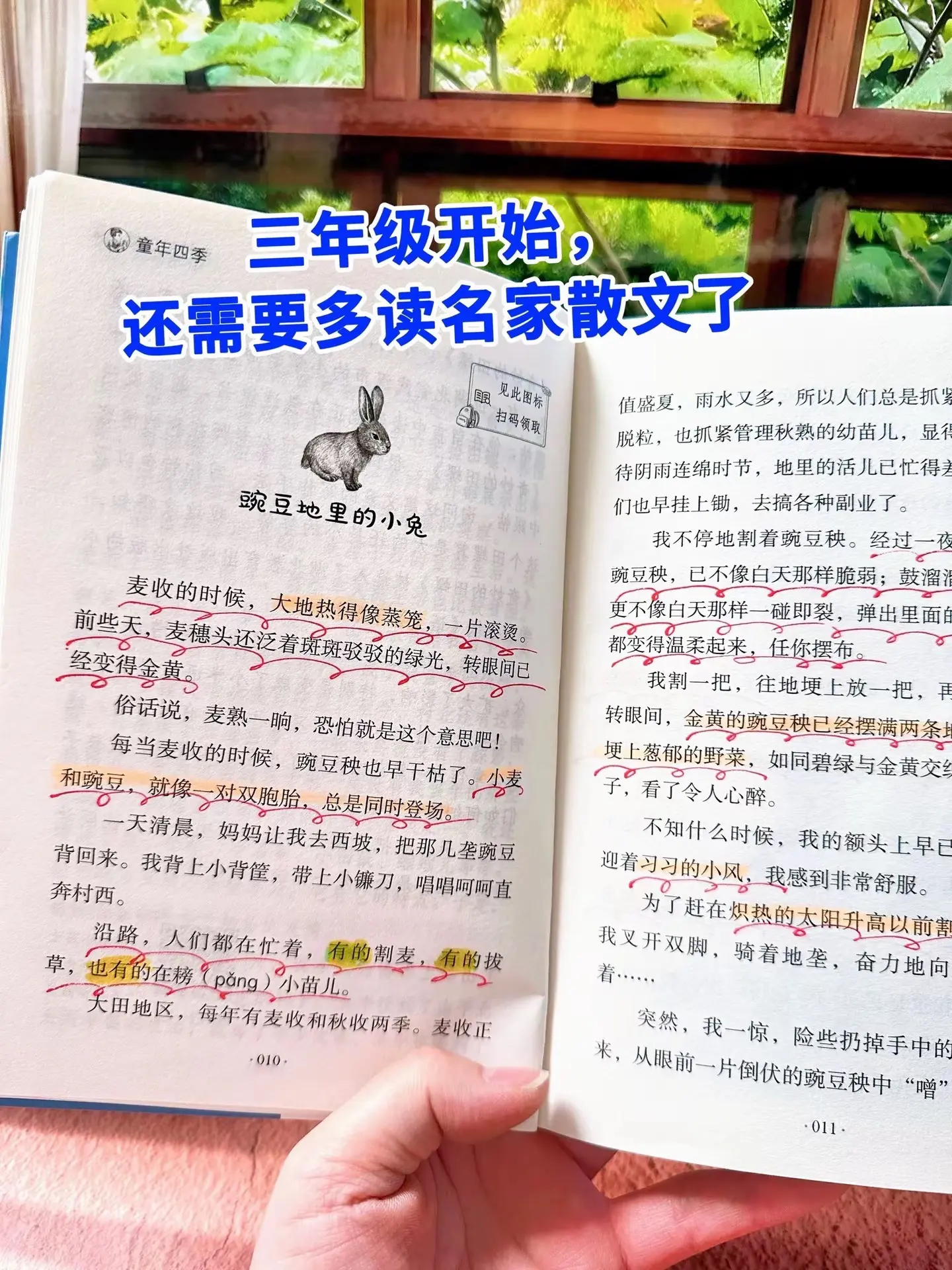 三年级开始，要多读名家散文！书中每篇佳作。都是写作的灵感源泉，每天让孩...
