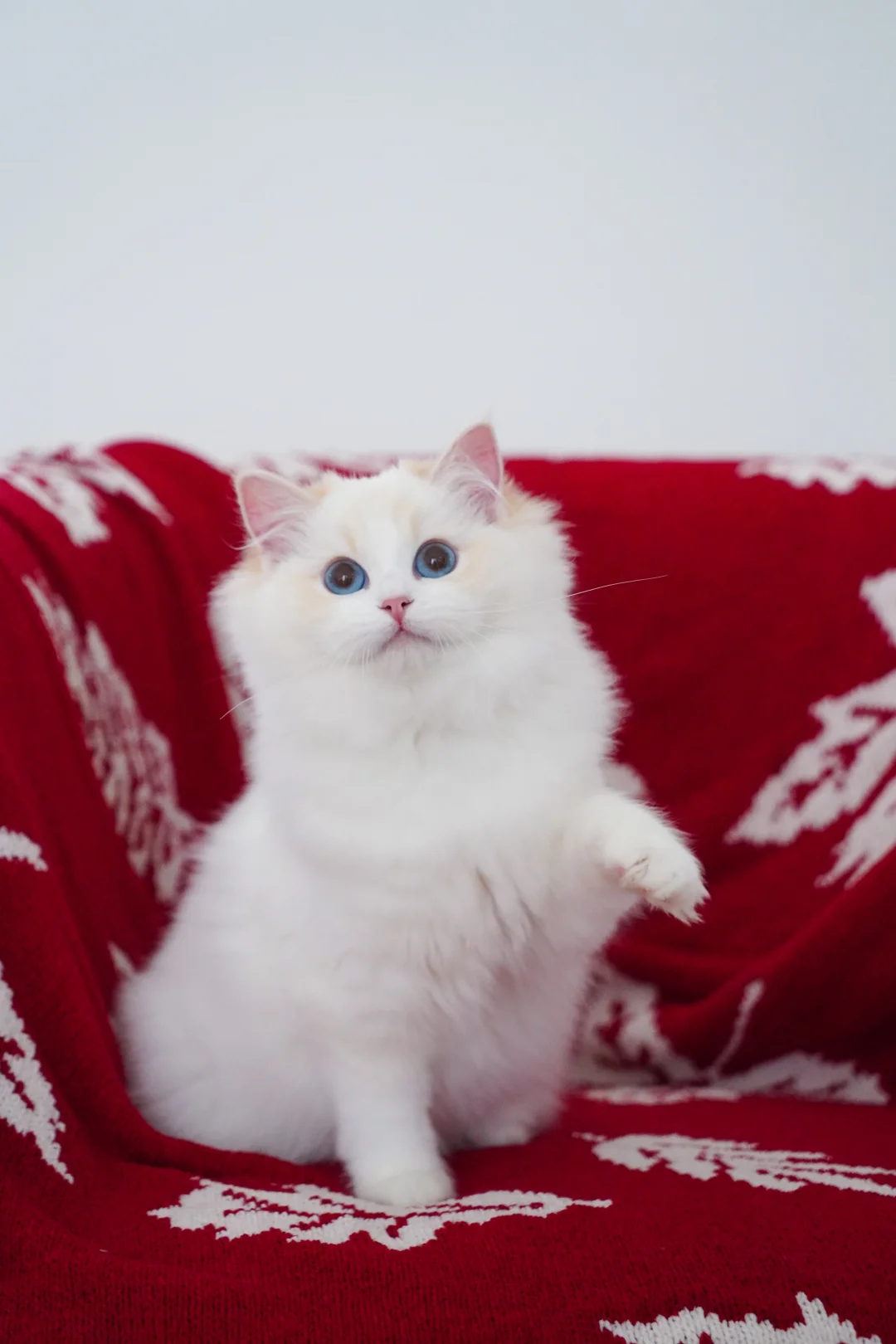 我的小可爱，你真的好可爱🥰