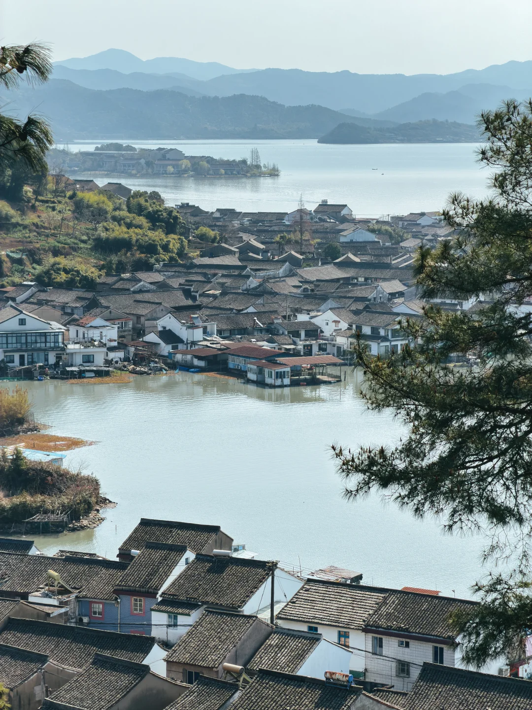 新手超友好线路|东钱湖莫枝村师姑山